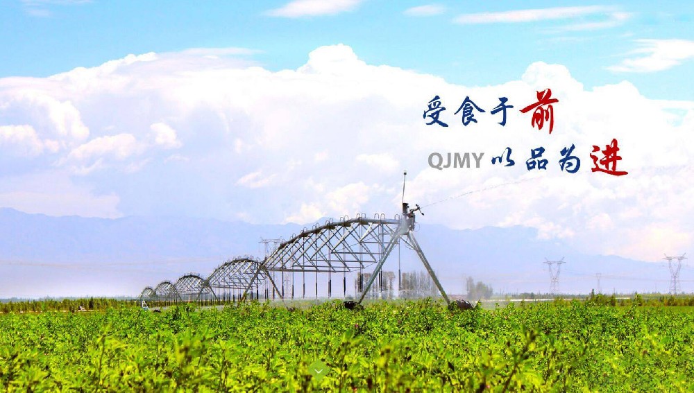 前進青年人才——默默付出，收獲快樂