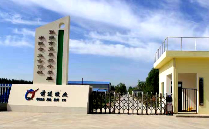 張掖市五泉奶牛養(yǎng)殖農(nóng)民專業(yè)合作社 （前進(jìn)集團(tuán)五泉牧場）