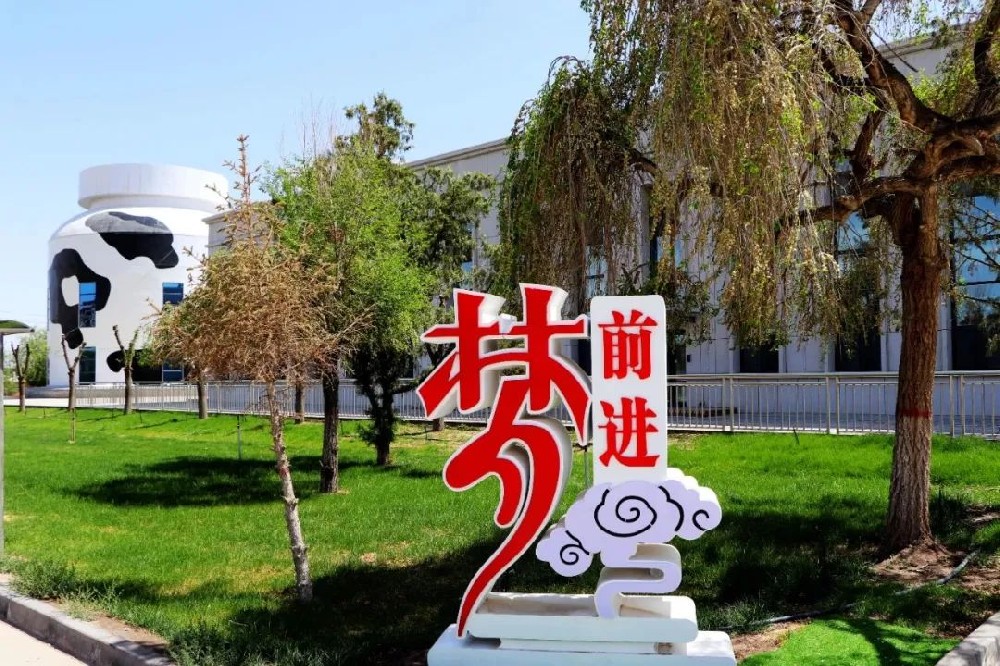 拼搏無(wú)聲，青春無(wú)悔