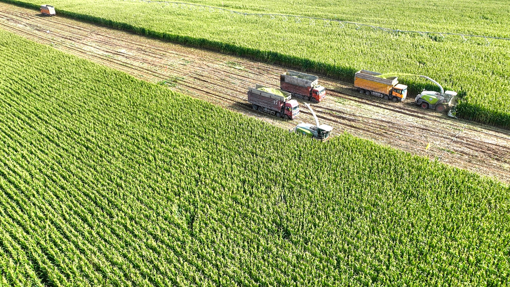 DJI_0066.JPG