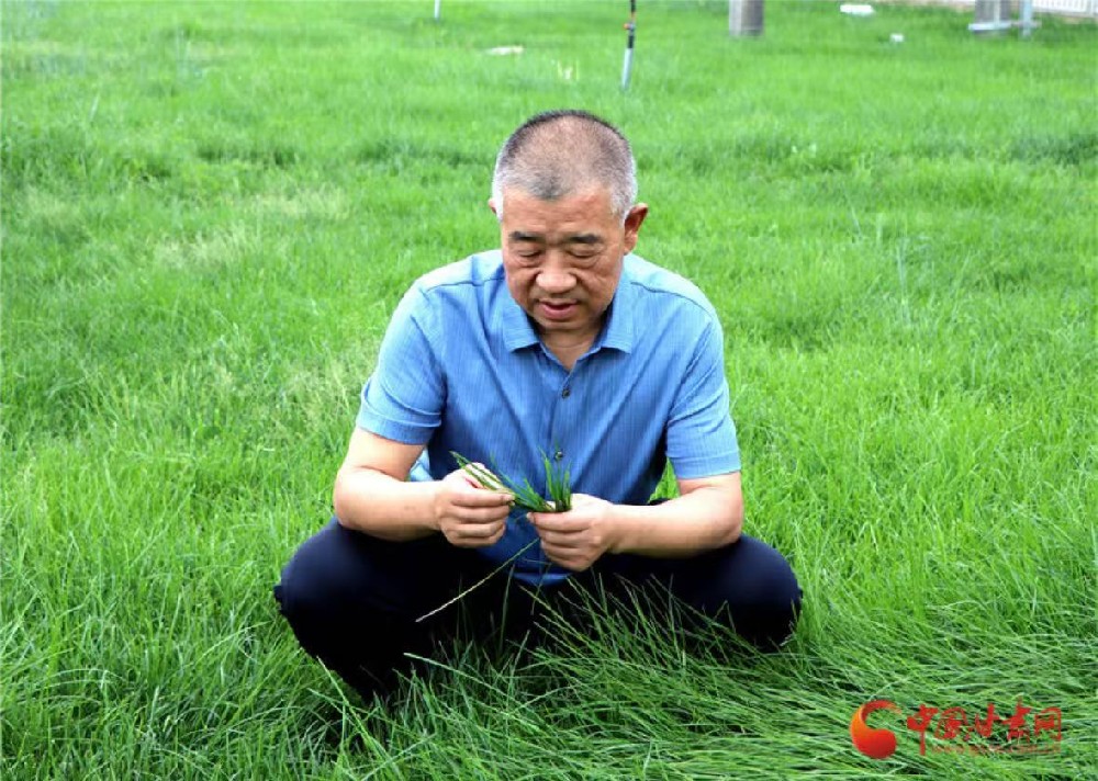 向“新”甘肅 民企力量（6）|甘肅前進現(xiàn)代農(nóng)業(yè)發(fā)展集團有限公司董事長馬志祥：新征程上再前進 全力打造西部奶都